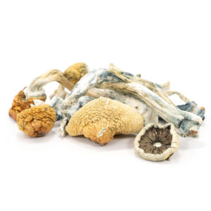 where to get Blue Meanie magic mushroom