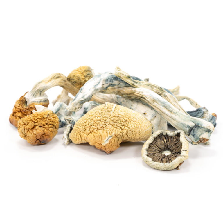 where to get Blue Meanie magic mushroom